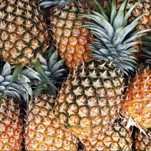 Meet your Posher, Evelyn